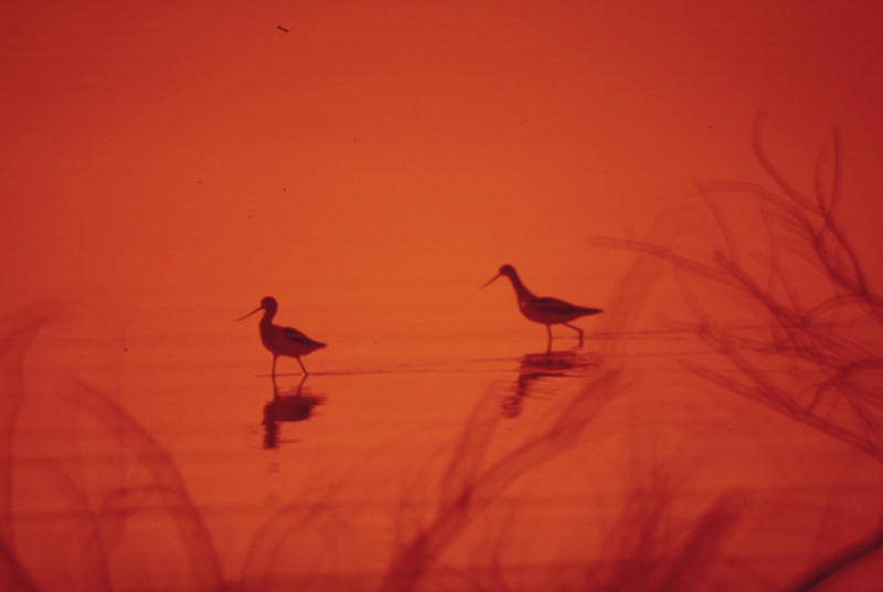 HH FAMILY INVESTMENT